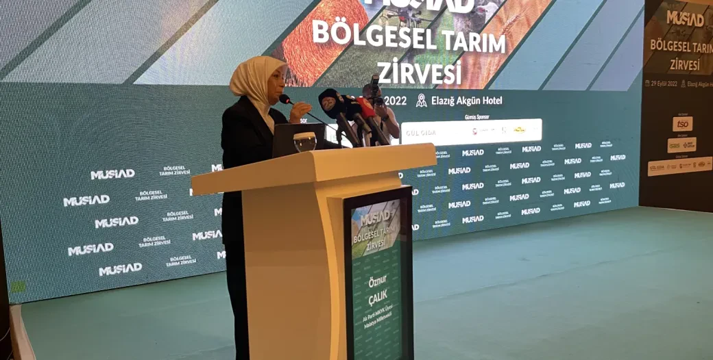 Haber galerisi görseli